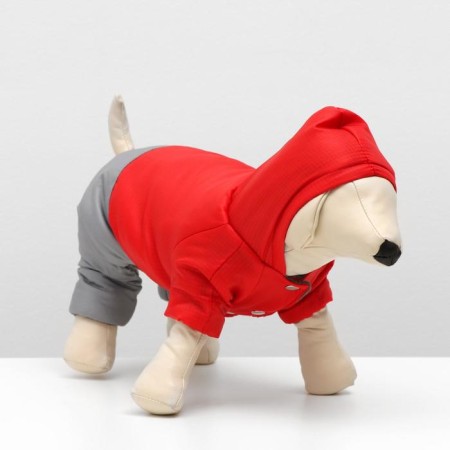 Zimovye jumpsuit for animals "duet", s (DS 20-22, Osh 26, from 30-34 cm), red-gray