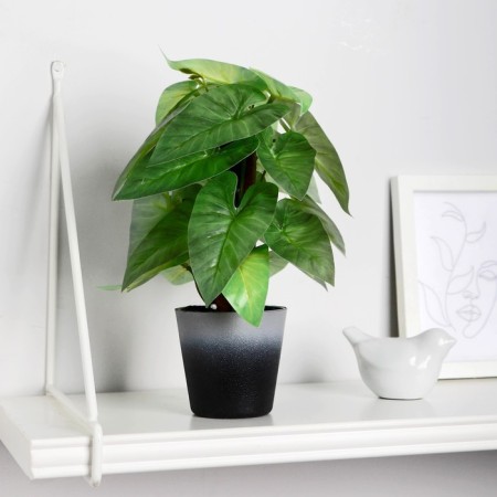 Bonsai in the pot "Anturium decorative" 7x23 cm