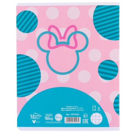 A set of notebooks 10 pieces, 12 sheets, in a cage, cover coated cardboard, Minnie Mouse-8
