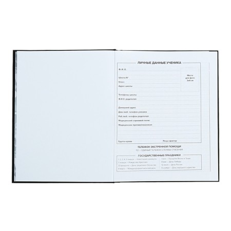 Universal Diary Grade 1-11, 48 sheets "Communication", hard cover, glossy lamination, universal cheat sheet, block 65 g/m2-4
