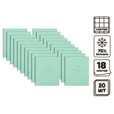 A set of notebooks of 20 pieces, 18 sheets in the cage of the Green Cover PDA, block No. 2, 60 g/m2, whitewash 75% (gray sheets)