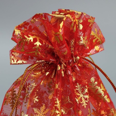 Bag gift organza "New Year's desires", 20 x 30 cm +/- 1.5 cm, New Year-4