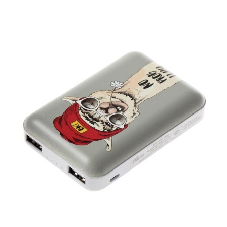 External battery Ritmix RPB-10007, 10,000 mAh, 2xUSB, 2.1 A, lama-1