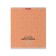 Notebook for recording hieroglyphs, 48 ​​sheets in a cage, Erichkrause "Chinese letter", mix