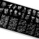 TNL Premium stamping plate "Flower charm"