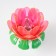 Nightlight "Blocked flower" 220V E12 MIX 9x9.5 cm Risalux