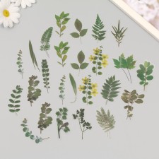 Stickers Plastic 