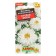 Flower seeds Nyvynik "Crazy Daisy", terry, c/p, 0.03 g g