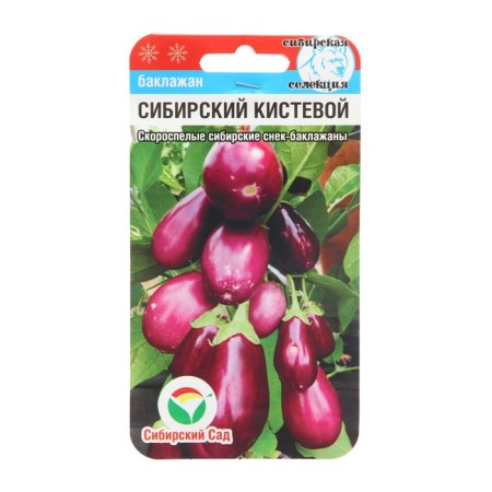 Eggplant seeds "Siberian Boiste", 20 pcs.