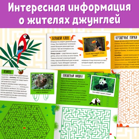 The book "Labyrinths and Facts. On the vines in the jungle ”, 24 p.-3