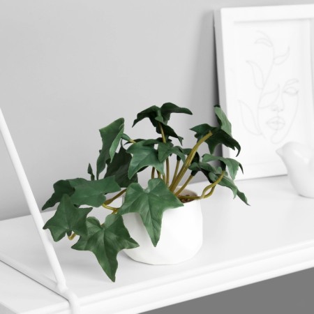Bonsai in the pot "ivy indoor suite" (soft sheet) 9x6 cm, mix