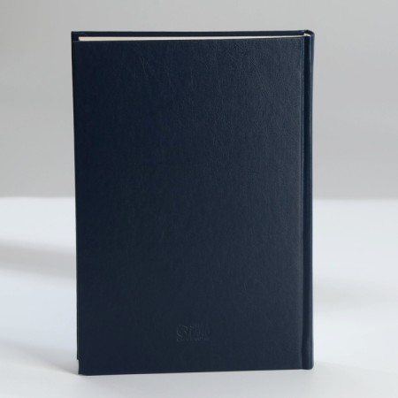 Deliciper of Leduced A5, 160 liters. Solid cover. Leatherette. Blue. Cream block-9