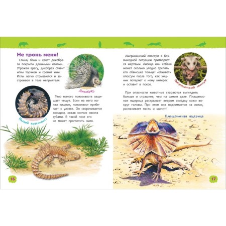 Encyclopedia for kindergarten "Amazing animals"-4