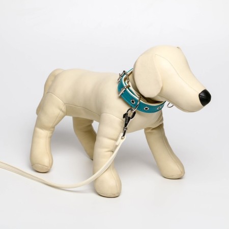 Set of collar (58x2.5 cm) and leash (130x1.4 cm) from eco -leather, turquoise with white-8