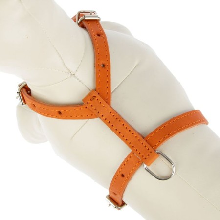 Leather slide for dogs Malaya Zononic, Osh 14-27 cm, fire 25-36 cm, width 1.5 cm, mix-2