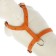 Leather slide for dogs Malaya Zononic, Osh 14-27 cm, fire 25-36 cm, width 1.5 cm, mix