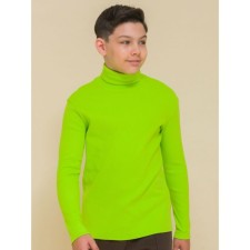Turtleneck for the boy Pelican, height 104 cm, green color