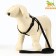 Set "Basis", leash 120 x 1.5 cm, OG 32-46 cm, black