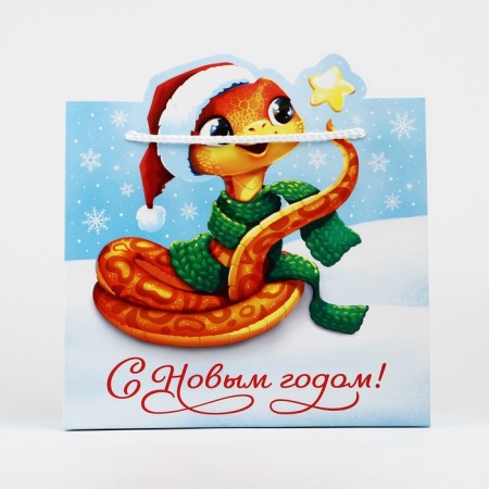 Gift package "Snake", 25 x 26 x 10 cm, New Year-4