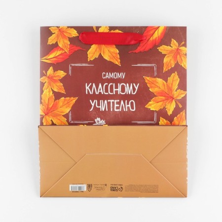 Package Gift Laminated Vertical, Packaging, “Teacher of the Year”, Ml 27 x 23 x 11.5 cm-4