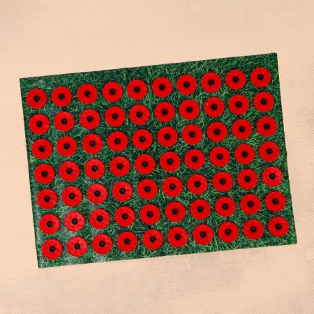 Applicator "Kuznetsova - beloved mother", 70 spines, film, 23 x 32 cm, red-3