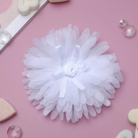 Hair elastic band Bant "Schoolgirl" Rosochka, D-10 cm, white