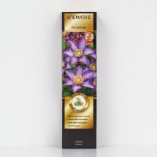 Clematis large -flowered suite 