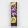 Clematis large -flowered suite "Exiting", 1 pc, tube, spring 2025