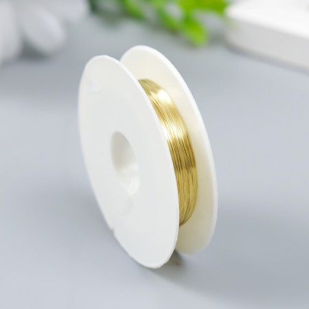 Wire for creativity "Astra" 0.2 mm, 10 m, gold-1