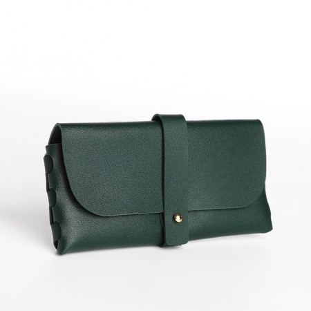 Case for glasses on the clue, green color