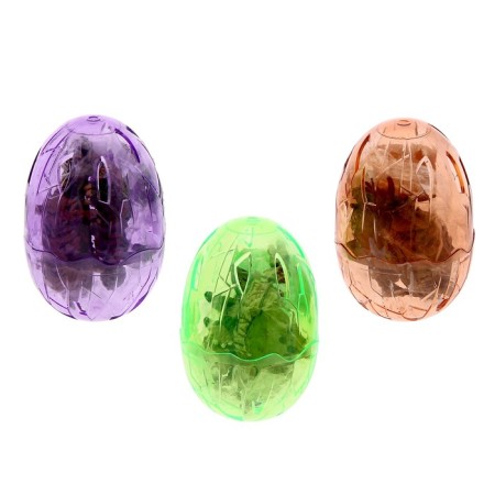 Designer in the egg "Dinosaur", 6 species, mix-1