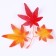Decor "Autumn twig with leaves" set of 15 pcs., Size 1 pc. - 13.5 × 13 × 0.2 cm