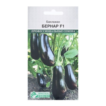 Eggplant Seeds "Bernard F1" Eurosemena Early Nedneshny, without bitterness
