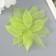 The leaves skeletoned for creativity are "green" set 20 pcs h = 6-6.5 cm