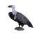 Figure Konik "White -headed SIP"