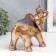 Souvenir Polystone "Golden Elephant in Blue Popone with Tasses" MIX 20x10.5x22 cm