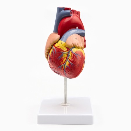 Matcage "Heart" isolate 13*8cm-1