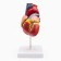 Matcage "Heart" isolate 13*8cm