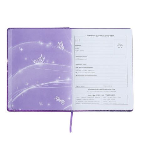 Universal Diary Grade 1-11, 48 sheets "Fairy", hard cover of artificial leather, lies, universal cheat sheet, block 80 g/m2-3