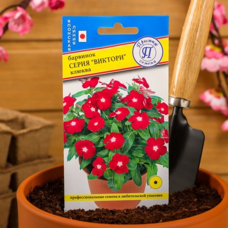 Flowers of Barvinok "Victory" Cranberry, Oh, 10 pcs-2