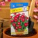 Flowers of Barvinok "Victory" Cranberry, Oh, 10 pcs