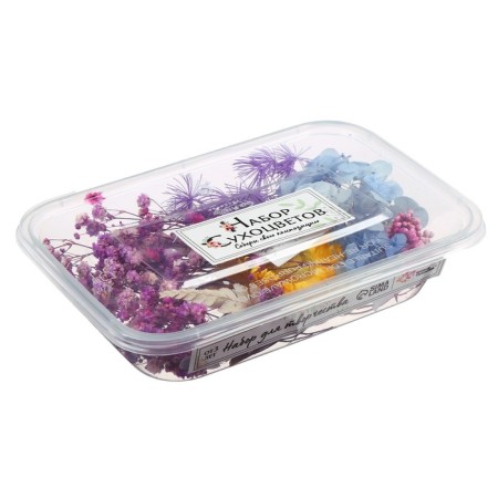 Set for creativity "Set of dried flowers" large, blue + yellow + lilac-2
