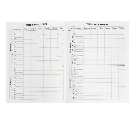 Universal diary for grades 1-11, "football. Emblem", solid cover 7BC, glossy lamination, 40 sheets-6