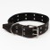 Leather collar on synthetic winterizer, dimensionless, 83 x 4.5 cm, Osh 20-71 cm, black
