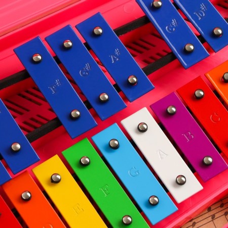 Musical tool Music Life, 25 tones, case, 2 sticks, pink-2