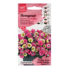 Flowers of Petunia flowers 