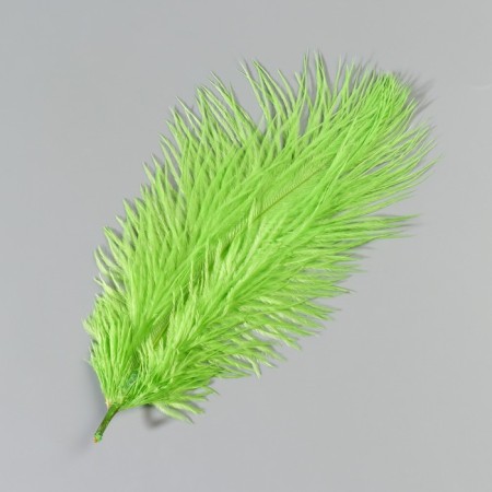 Feather of ostrich 15-20 cm, light green-2