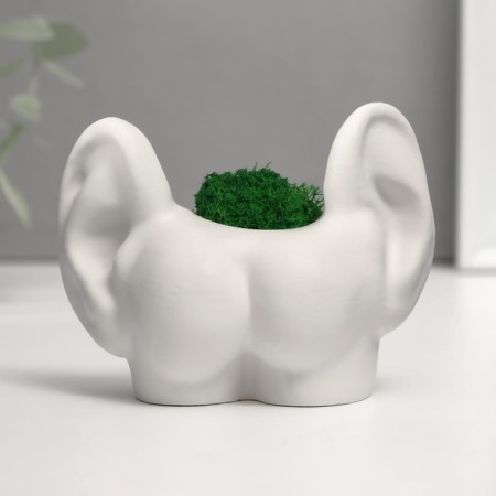 Kashpo concrete "ass with ears" with moss 8*10cm white (moss green stabilized)