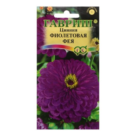 Flowers of Zinnia "Violet Fairy", 0.3 g