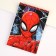 Notepad A5, on the crest, 40 sheets, Spider-Man